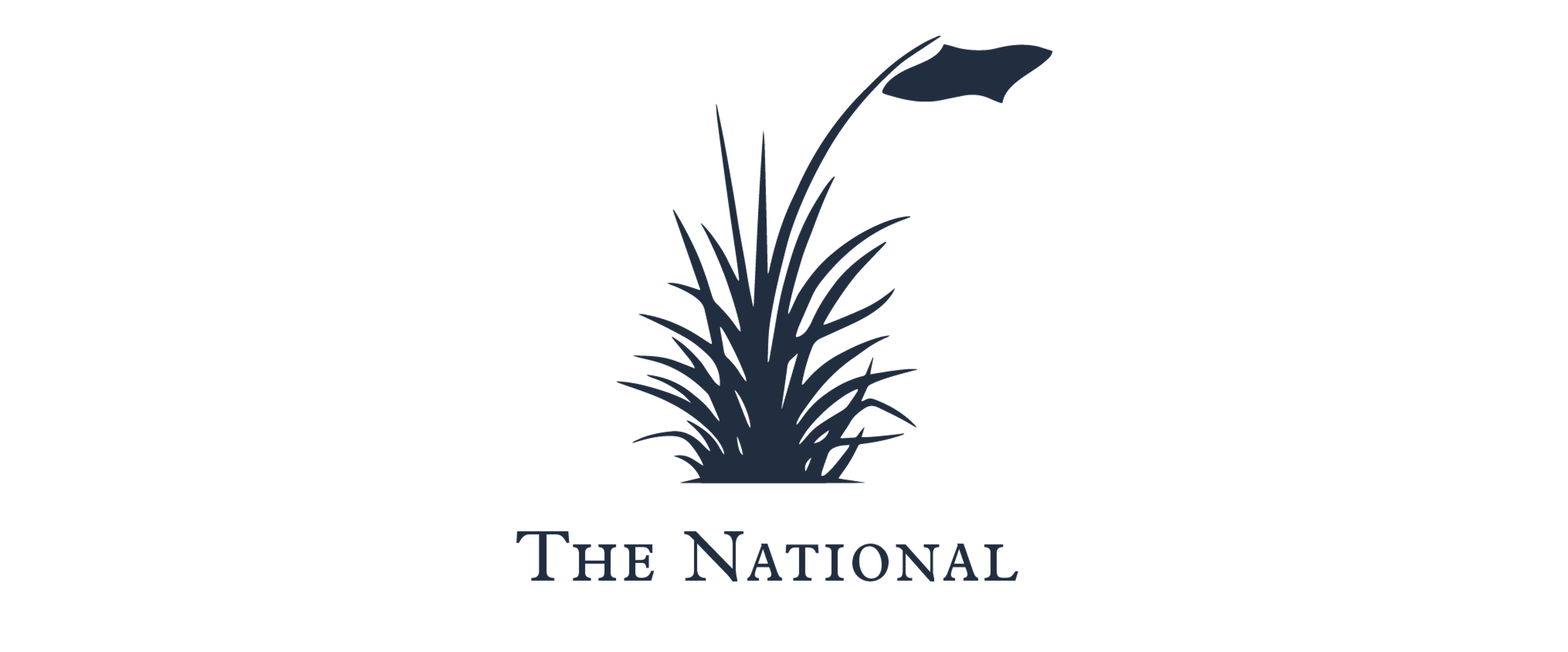 TheNational